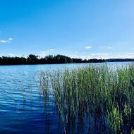 Piękny dom z linią brzegową 