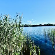 Piękny dom z linią brzegową 